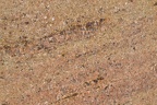 GOLDEN OAK GRANITE 3CM LOT 3P561003 cl 112X79